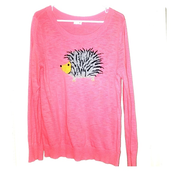 Mossimo Supply Co. Sweaters - Mossimo Hedgehog Long Sleeve Sweater